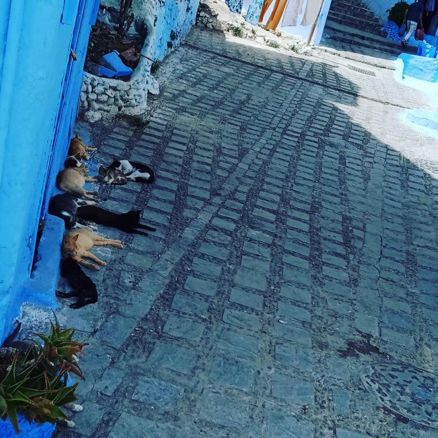 Casa Mablu Apartment Chefchaouen Luaran gambar